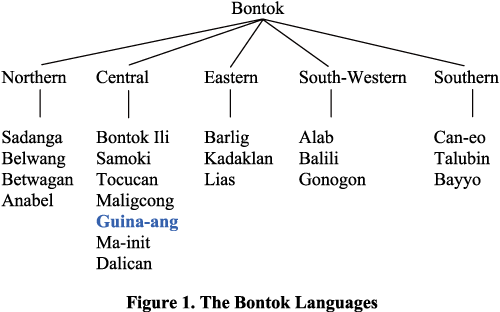 Degree Equivalent Words