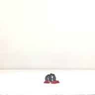 幅：4.6 (cm)×奥行：59 (cm)×高さ：1.8 (cm)／22 (g)，撮影・計測日：1995-05-01