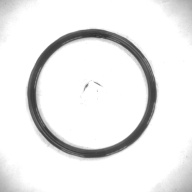 幅：5.9 (cm)×奥行：5.9 (cm)×高さ：0.4 (cm)／6 (g)，撮影・計測日：1995-04-18