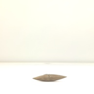 幅：15 (cm)×奥行：34 (cm)×高さ：3.0 (cm)／50 (g)，撮影・計測日：1999-04-14