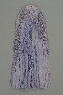 横：68 (cm)×縦：150 (cm)／595 (g)，撮影・計測日：2009-08-12