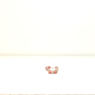 幅：3.6 (cm)×奥行：30 (cm)×高さ：1.0 (cm)／42 (g)，撮影・計測日：1999-04-23