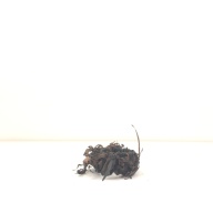 幅：14 (cm)×奥行：46 (cm)×高さ：5.9 (cm)／140 (g)，撮影・計測日：1999-06-11