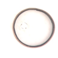 幅：5.0 (cm)×奥行：5.0 (cm)×高さ：1.0 (cm)／31 (g)，撮影・計測日：1999-06-22