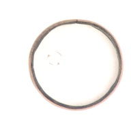 幅：5.0 (cm)×奥行：5.1 (cm)×高さ：1.0 (cm)／30 (g)，撮影・計測日：1999-06-22