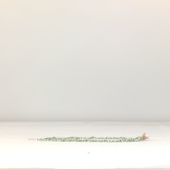 幅：14 (cm)×奥行：27 (cm)×高さ：3.3 (cm)／24 (g)，撮影・計測日：1995-05-16