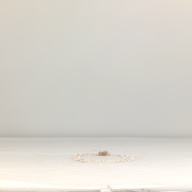 幅：13 (cm)×奥行：27 (cm)×高さ：2.5 (cm)／21 (g)，撮影・計測日：1995-05-16