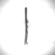 幅：0.2 (cm)×奥行：4.8 (cm)×高さ：0.3 (cm)／8 (g)，撮影・計測日：1995-05-01