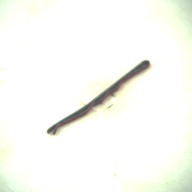 幅：0.2 (cm)×奥行：4.8 (cm)×高さ：0.3 (cm)／8 (g)，撮影・計測日：1995-05-01