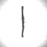 幅：0.2 (cm)×奥行：4.8 (cm)×高さ：0.3 (cm)／8 (g)，撮影・計測日：1995-05-01