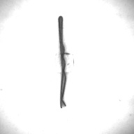幅：0.2 (cm)×奥行：4.8 (cm)×高さ：0.3 (cm)／8 (g)，撮影・計測日：1995-05-01