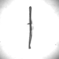 幅：0.2 (cm)×奥行：4.8 (cm)×高さ：0.3 (cm)／8 (g)，撮影・計測日：1995-05-01