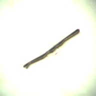 幅：0.2 (cm)×奥行：4.8 (cm)×高さ：0.3 (cm)／8 (g)，撮影・計測日：1995-05-01
