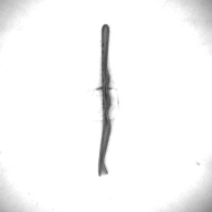 幅：0.2 (cm)×奥行：4.8 (cm)×高さ：0.3 (cm)／8 (g)，撮影・計測日：1995-05-01