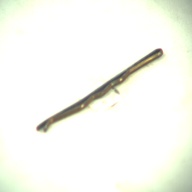 幅：0.2 (cm)×奥行：4.8 (cm)×高さ：0.3 (cm)／8 (g)，撮影・計測日：1995-05-01