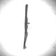 幅：0.2 (cm)×奥行：4.8 (cm)×高さ：0.3 (cm)／8 (g)，撮影・計測日：1995-05-01