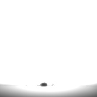 幅：0.2 (cm)×奥行：4.8 (cm)×高さ：0.3 (cm)／8 (g)，撮影・計測日：1995-05-01
