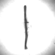 幅：0.2 (cm)×奥行：4.8 (cm)×高さ：0.3 (cm)／8 (g)，撮影・計測日：1995-05-01