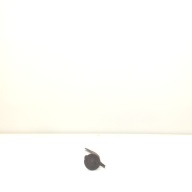 幅：8.6 (cm)×奥行：68 (cm)×高さ：6.4 (cm)／637 (g)，撮影・計測日：1999-06-30