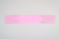 横：273 (cm)×縦：47 (cm)／57 (g)，撮影・計測日：2006-03-13