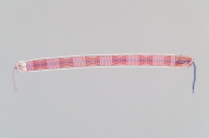 幅：8.0 (cm)×全長：105 (cm)／47 (g)，撮影・計測日：2006-03-14