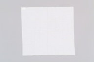 横：74 (cm)×縦：69 (cm)／53 (g)，撮影・計測日：2006-03-13