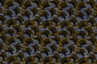 幅：82 (cm)×奥行：0.1 (cm)×高さ：82 (cm)／74 (g)，撮影・計測日：1989-01-13