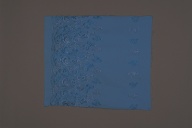 幅：53 (cm)×奥行：0.1 (cm)×高さ：44 (cm)／45 (g)，撮影・計測日：1989-01-16