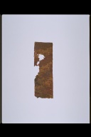 幅：73 (cm)×奥行：0.1 (cm)×高さ：25 (cm)／92 (g)，撮影・計測日：1988-06-21