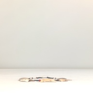 幅：6.0 (cm)×奥行：29 (cm)×高さ：1.3 (cm)／45 (g)，撮影・計測日：1995-06-06