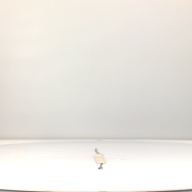 幅：81 (cm)×奥行：6.0 (cm)×高さ：0.9 (cm)／209 (g)，撮影・計測日：1994-07-27