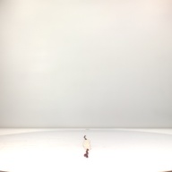 幅：96 (cm)×奥行：5.6 (cm)×高さ：1.0 (cm)／283 (g)，撮影・計測日：1994-07-27