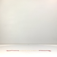 幅：89 (cm)×奥行：4.7 (cm)×高さ：1.5 (cm)／180 (g)，撮影・計測日：1994-07-27