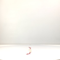 幅：89 (cm)×奥行：4.7 (cm)×高さ：1.5 (cm)／180 (g)，撮影・計測日：1994-07-27