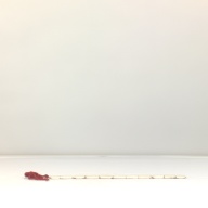 幅：52 (cm)×奥行：6.4 (cm)×高さ：1.1 (cm)／308 (g)，撮影・計測日：1994-07-27