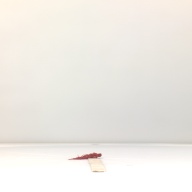 幅：52 (cm)×奥行：6.4 (cm)×高さ：1.1 (cm)／308 (g)，撮影・計測日：1994-07-27