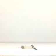 幅：64 (cm)×奥行：17 (cm)×高さ：2.0 (cm)／33 (g)，撮影・計測日：1995-07-24