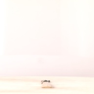 幅：2.3 (cm)×奥行：11 (cm)×高さ：0.4 (cm)／30 (g)，撮影・計測日：2000-04-03