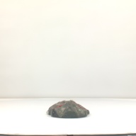 幅：24 (cm)×奥行：58 (cm)×高さ：11 (cm)／426 (g)，撮影・計測日：1994-11-10