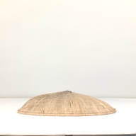 幅：50 (cm)×奥行：49 (cm)×高さ：13 (cm)，撮影・計測日：1994-11-09