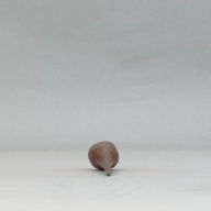 幅：4.5 (cm)×奥行：24 (cm)×高さ：4.2 (cm)／116 (g)，撮影・計測日：2004-07-26