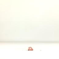 幅：0.9 (cm)×奥行：37 (cm)×高さ：1.0 (cm)／38 (g)，撮影・計測日：1995-07-24