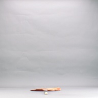 幅：34 (cm)×奥行：93 (cm)×高さ：2.2 (cm)／207 (g)，撮影・計測日：2004-12-07