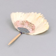 幅：25 (cm)×奥行：37 (cm)×高さ：3.4 (cm)／12 (g)，撮影・計測日：2004-12-08