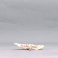 幅：25 (cm)×奥行：37 (cm)×高さ：3.4 (cm)／12 (g)，撮影・計測日：2004-12-08