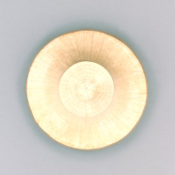幅：49 (cm)×奥行：48 (cm)×高さ：19 (cm)／160 (g)，撮影・計測日：2004-12-08