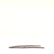 幅：3.0 (cm)×奥行：3.0 (cm)×高さ：0.1 (cm)／4 (g)，撮影・計測日：2000-07-03
