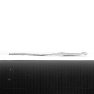 幅：25 (cm)×奥行：41 (cm)×高さ：2.2 (cm)／29 (g)，撮影・計測日：1986-01-28