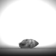 幅：0.9 (cm)×奥行：1.9 (cm)×高さ：1.0 (cm)／3 (g)，撮影・計測日：1995-07-21