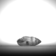 幅：0.9 (cm)×奥行：2.2 (cm)×高さ：1.0 (cm)／6 (g)，撮影・計測日：1995-07-21